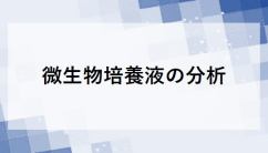 微生物培養液の分析