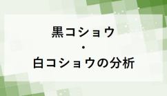 黒コショウ・白コショウの分析